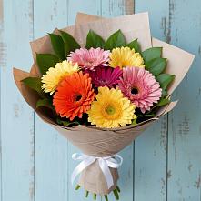 Букет цветов из:  Герберы #REPLACE_PRED# Жердевке