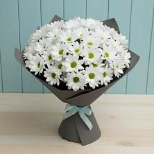 Букет цветов из:  Хризантемы в Жердевке