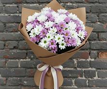 Букет цветов из:  Хризантемы в Жердевке