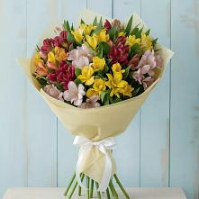 Букет цветов из:  Альстромерии в Жердевке