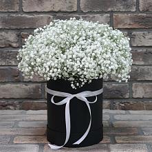 Цветочная композиция из Гипсофила в шляпной коробке #REPLACE_PRED# Жердевке