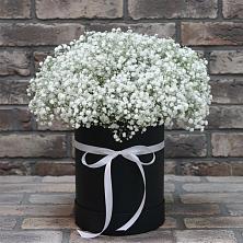 Цветочная композиция из Гипсофила в шляпной коробке в Жердевке