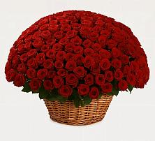 Премиум букет из: Розы в Жердевке