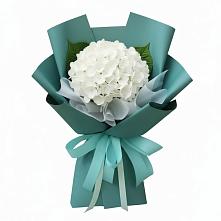 Букет цветов из:  Гортензия в Жердевке